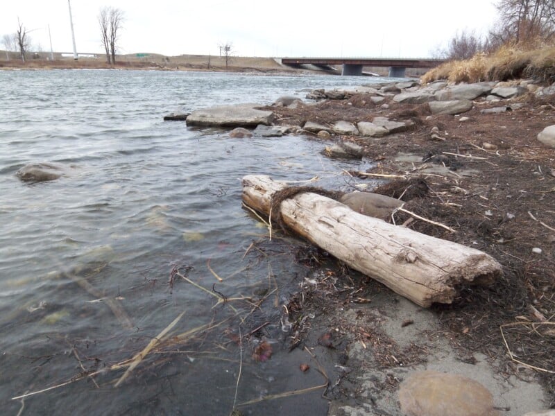 A riverbank with a large log and scattered rocks. The water is calm, and there are sparse patches of dry grass. A bridge is visible in the background under a cloudy sky.