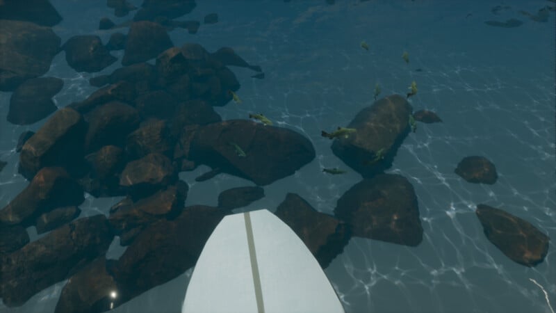 A view from above shows a white surfboard tip pointed towards clear blue water, revealing rocks and small fish below the surface. The sunlight creates patterns on the water.