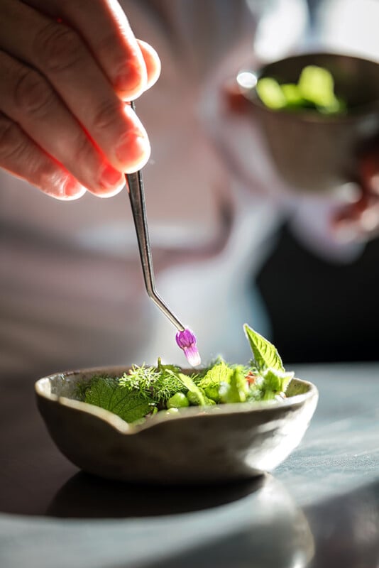 A close-up of a hand using tweezers to place a small purple flower onto a dish with various fresh green herbs and leaves in a rustic bowl. Another hand holds a small bowl in the background.