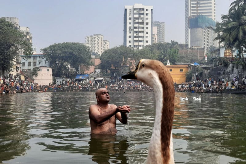 A man stands chest-deep in a pond, holding prayer beads, while a duck appears close to the camera. Tall buildings and a crowd of people line the water’s edge in the background.