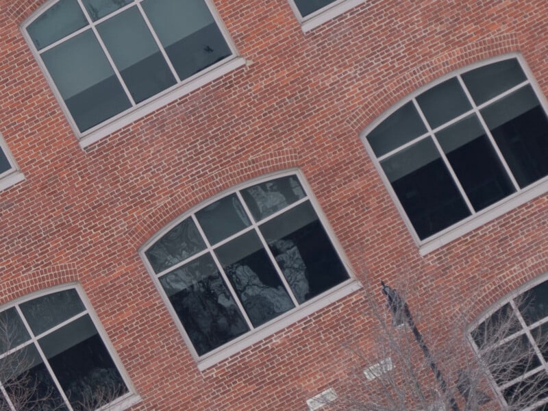 Tilted view of a brick building with several large, rectangular windows, reflected trees visible in the glass. A tree with no leaves is partially visible in the bottom right corner.