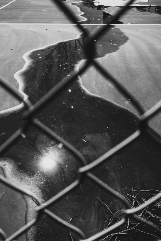 Black and white photo of a chain-link fence in the foreground with a large puddle on a concrete surface behind it. The puddle reflects sunlight and nearby trees, creating a striking shape and texture contrast. Branches are visible near the puddle.