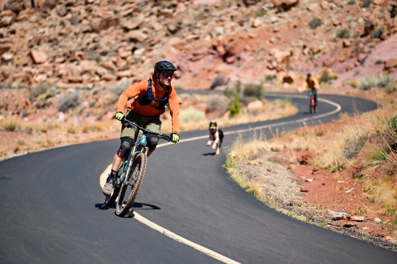 Two cyclists ride on a winding, paved road through a desert landscape with red rocks. A dog runs alongside them. The lead cyclist wears an orange top, helmet, and sunglasses, while the second cyclist follows at a distance.