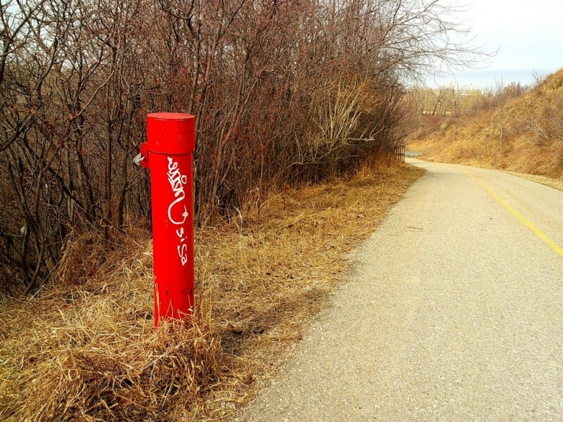 A red fire hydrant with graffiti stands near the edge of a paved, winding road bordered by dry, leafless bushes and grass. The sky is overcast, and the road leads into a distant curve.