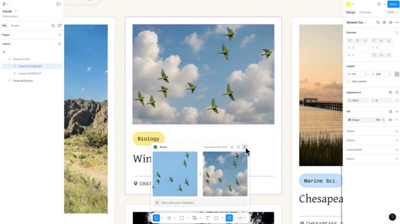 Screenshot of a website editor displaying a biology article titled "Winged..." with an image of green birds flying in a blue sky with clouds. Editing tools and image options are visible on the right side of the screen.