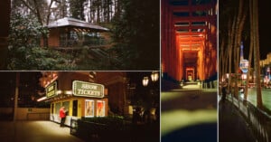 A collage of four photos: a house in a forest, a red torii gate tunnel at night, a lit "Show Tickets" booth, and a lively nighttime city scene with palm trees and glowing streetlights.