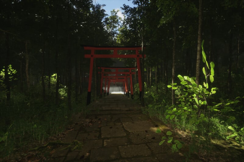 A stone path lined with multiple red torii gates leads through a lush, green forest. Sunlight filters through the trees, illuminating patches of fern and foliage. The scene is tranquil and inviting.