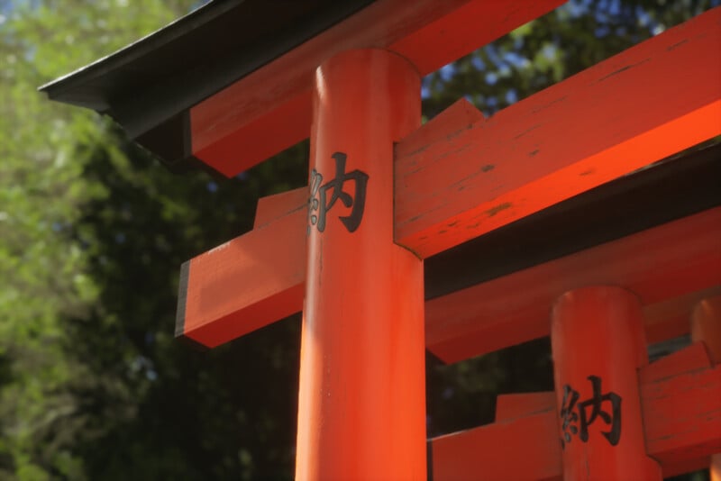 Close-up of bright red wooden torii gate, featuring black Japanese characters. Soft sunlight enhances the texture and color, with lush green foliage in the blurred background.