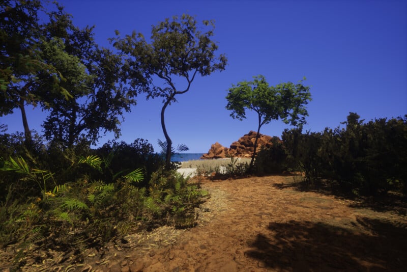 A scenic view of a sandy path leading to the beach, surrounded by lush greenery and trees. The clear blue sky and rocky shoreline are visible in the background, creating a tranquil coastal landscape.