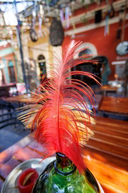 A vibrant red feather stands in the neck of a green glass bottle on a wooden table, with a colorful terrace and blurred outdoor cafe setting in the background.