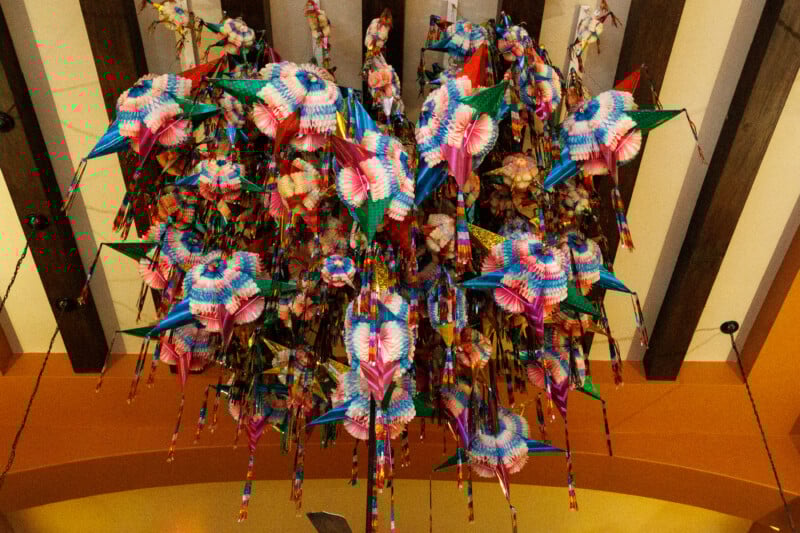 A large group of colorful paper star piñatas with streamers hangs from a ceiling with wooden beams. The piñatas are vibrant, featuring patterns in red, pink, blue, green, and yellow.