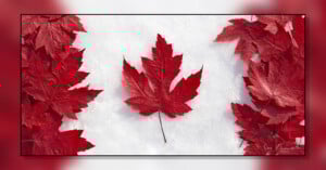 Several vibrant red maple leaves are scattered on a blanket of white snow, with one prominently centered leaf. The bright red leaves contrast sharply with the clean, white background.