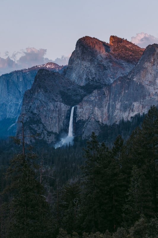 Tall waterfall cascades down a rugged mountain face at sunset, with the peaks and trees of Yosemite National Park bathed in soft, warm light. Pine trees fill the foreground beneath dramatic cliffs.