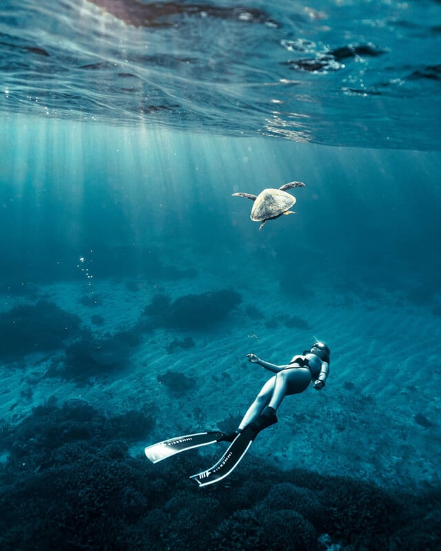 A woman in swim fins and a bikini swims underwater towards a sea turtle, with sunlight streaming through the water and illuminating the ocean floor below.