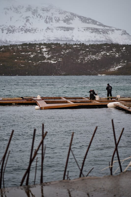 Two people stand on a dock by a lake, surrounded by snowy mountains. The overcast sky and the bare branches in the foreground create a chilly, serene atmosphere.