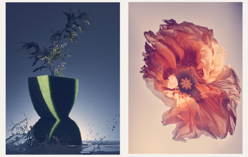 On the left, a green plant in a vase shaped like a split watermelon with water splashing. On the right, a close-up of a delicate, pink-orange flower with soft lighting and a subtle background.