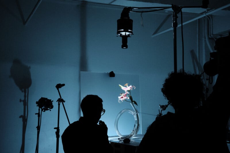 A silhouetted person observes a brightly lit flower in a photography studio, with cameras, lights, and tripods set up against a blue background.