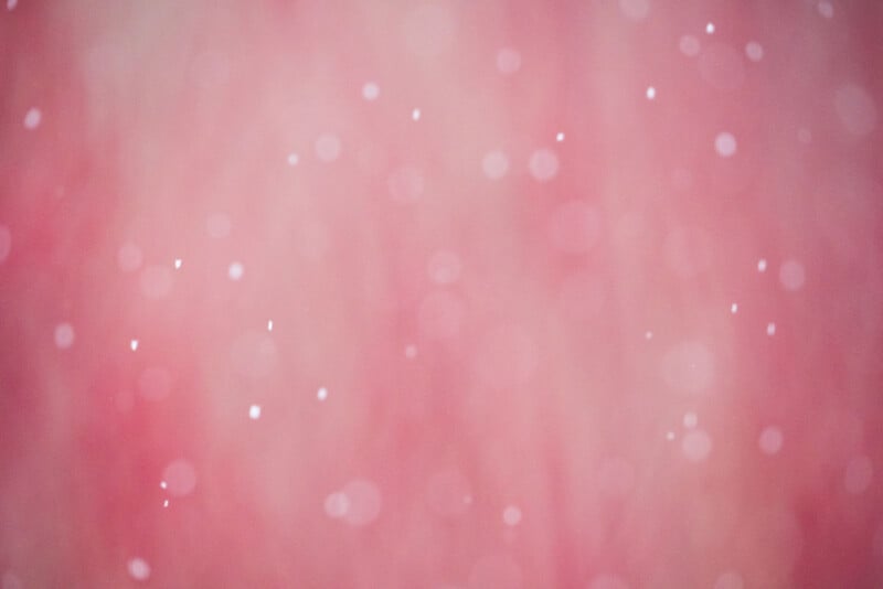 A soft, out-of-focus pink background with light, white bokeh effects scattered throughout, creating a dreamy and gentle atmosphere.