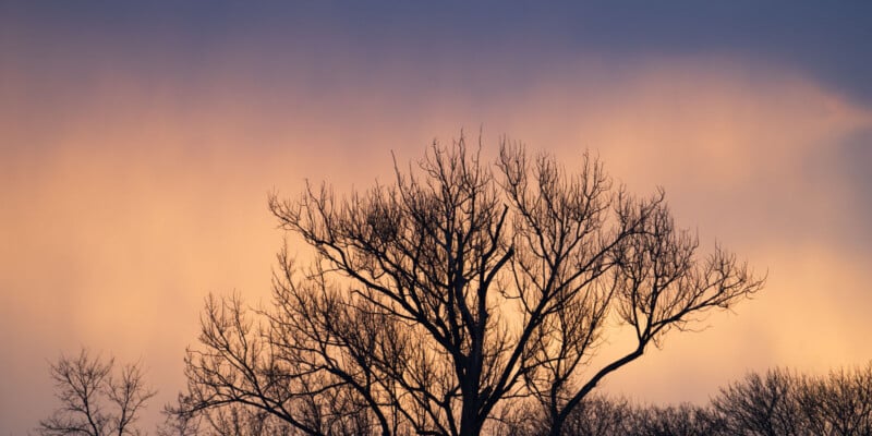 Silhouette of leafless trees against a sunset sky, with orange and purple hues blending in the background. The scene evokes a serene and tranquil evening atmosphere.