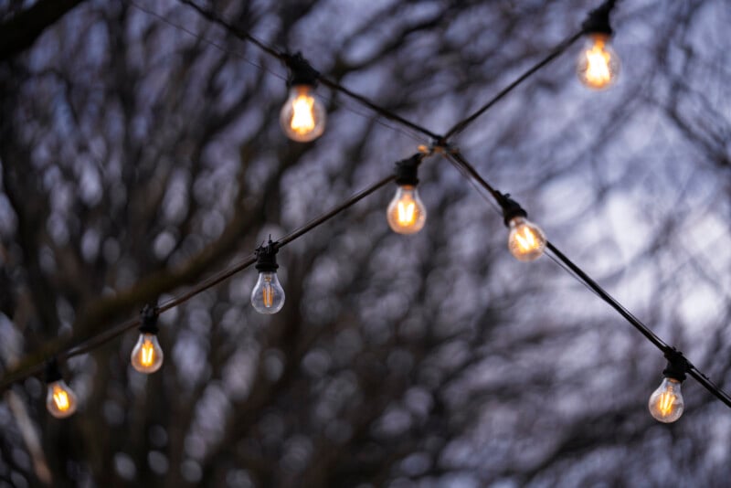 String lights with glowing bulbs are hanging outdoors against a blurred background of leafless tree branches and a twilight sky, creating a cozy and warm atmosphere.