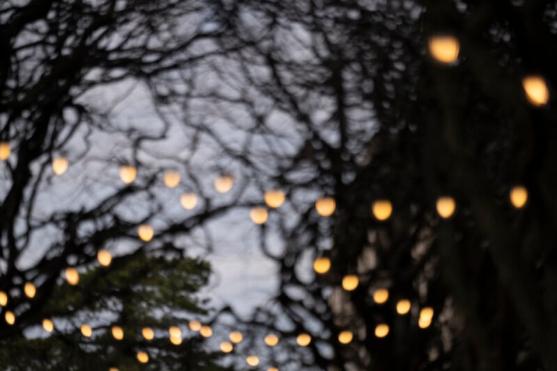 Out-of-focus string lights hang among leafless, twisted tree branches against a gray sky, creating a dreamy, abstract scene with soft, glowing orbs.