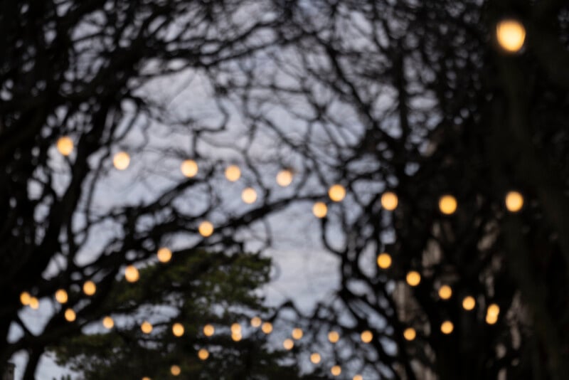 Out-of-focus strings of warm yellow lights hang between bare tree branches against a cloudy sky, creating a soft, dreamy atmosphere.