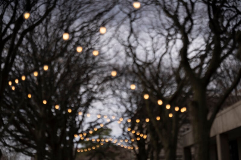 Out-of-focus string lights hang above a pathway lined with leafless trees, creating a dreamy, blurred effect against a gray sky.