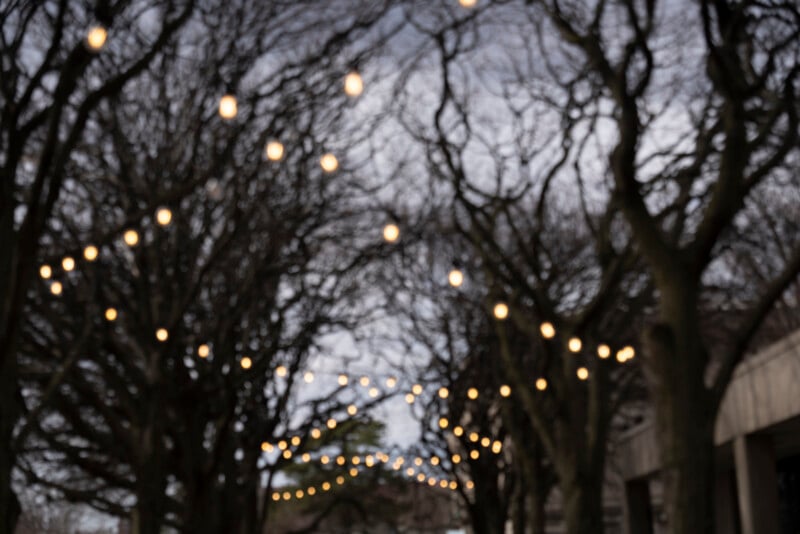 Out-of-focus image of string lights hanging above a pathway lined with leafless trees, creating a soft, glowing effect against a gray sky.